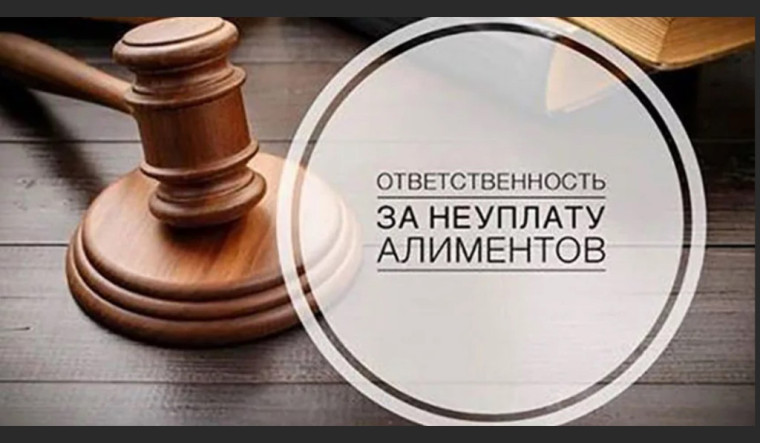 Прокуратура Екатериновского района разъясняет ответственность за умышленную неуплату алиментов. Прокуратура Екатериновского района разъясняет ответственность за умышленную неуплату алиментов.