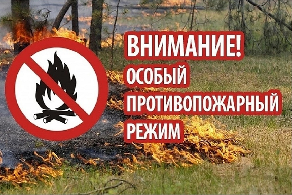 Особый противопожарный режим. Особый противопожарный режим.
